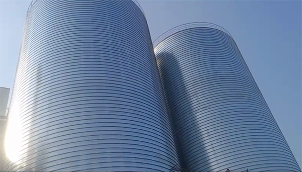 永泰2座混凝土高架卷板仓